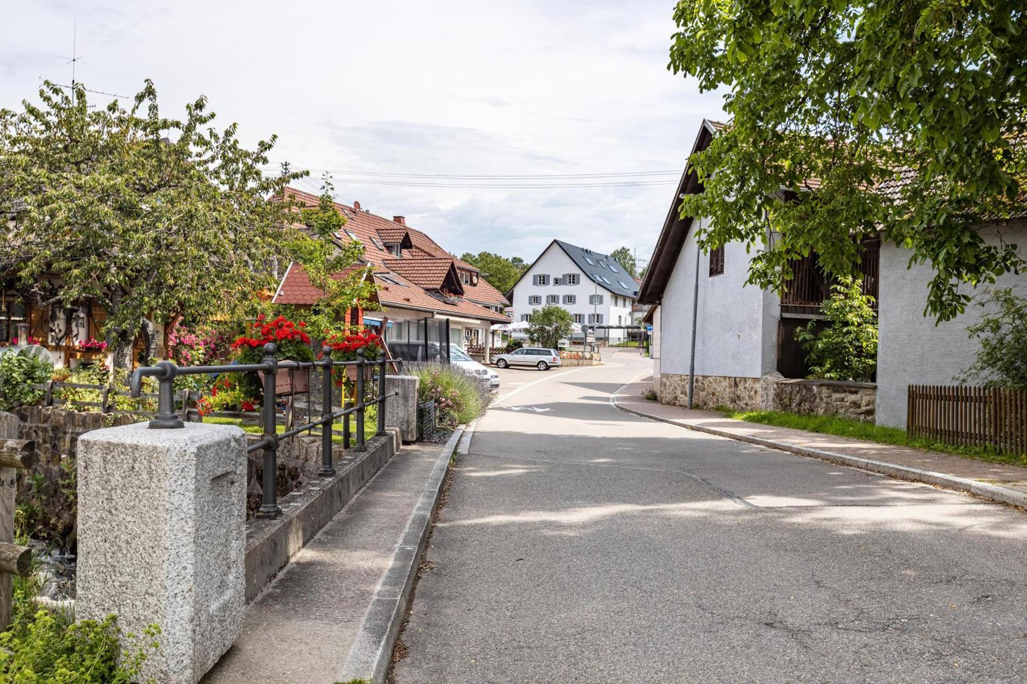 Ferienhaus Muelhaupt Ühlingen-Birkendorf Exteriör bild